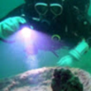 Meet your Posher, Connie